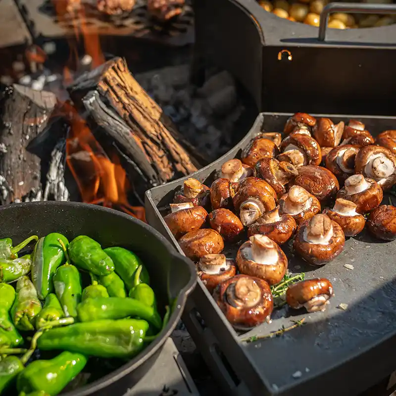 Detailansicht des Moduls Bratpfanne auf dem Champignons gebraten werden